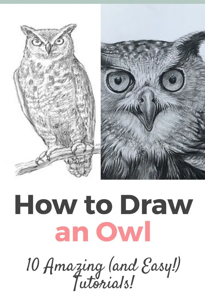 How To Draw An Owl: 10 Amazing and Easy Tutorials! Thumbnail