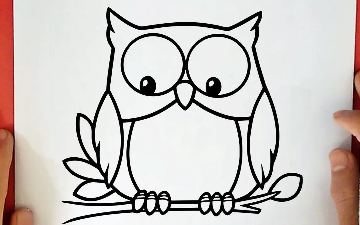 Cute Owl Drawing for Kids