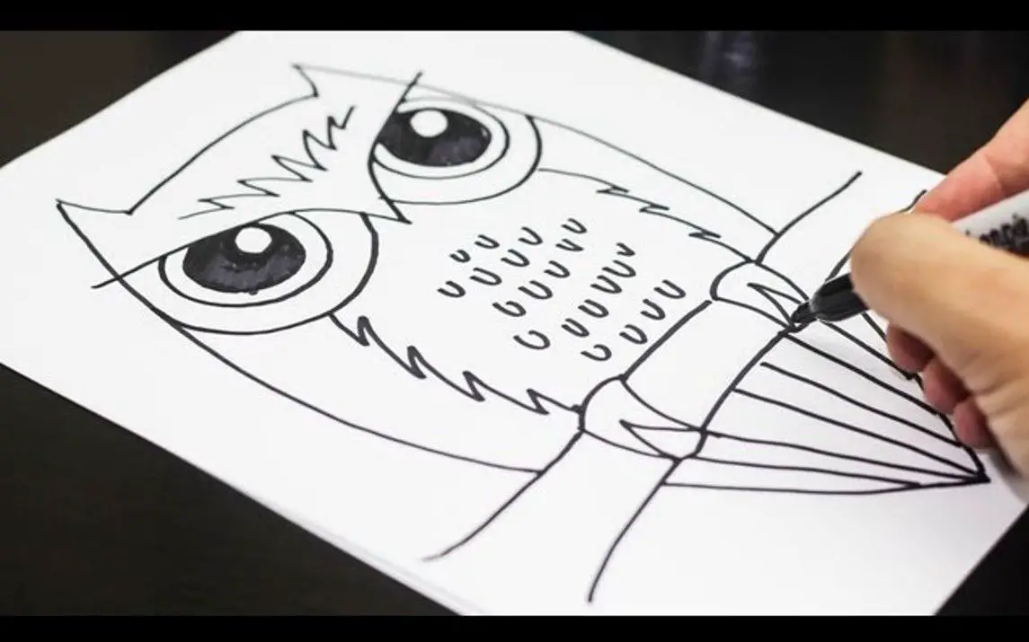 Easy Owl Drawing for Beginners