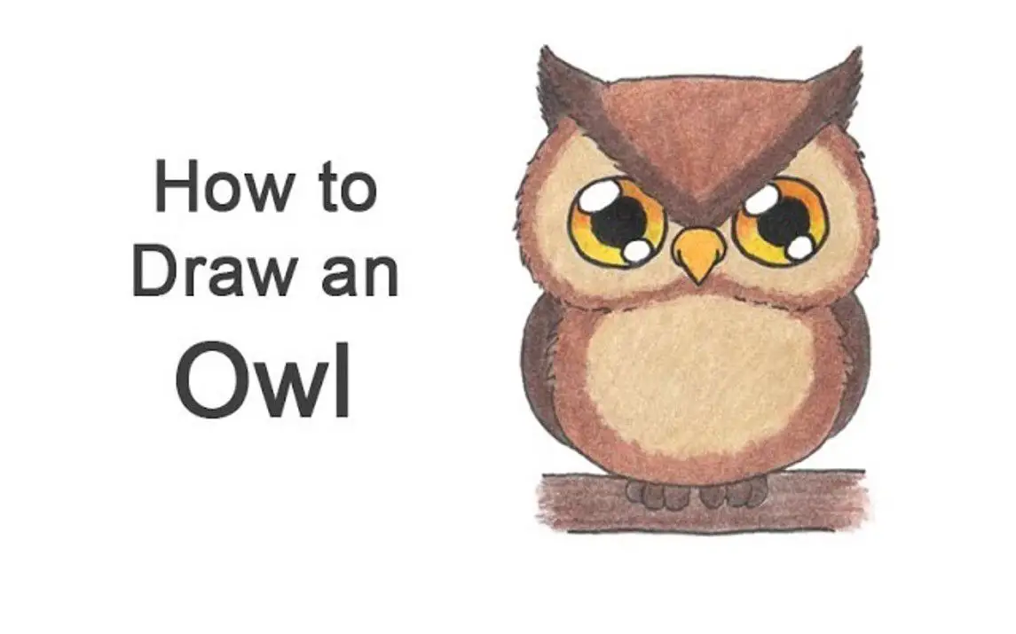 Cartoon Owl Drawing Tutorial