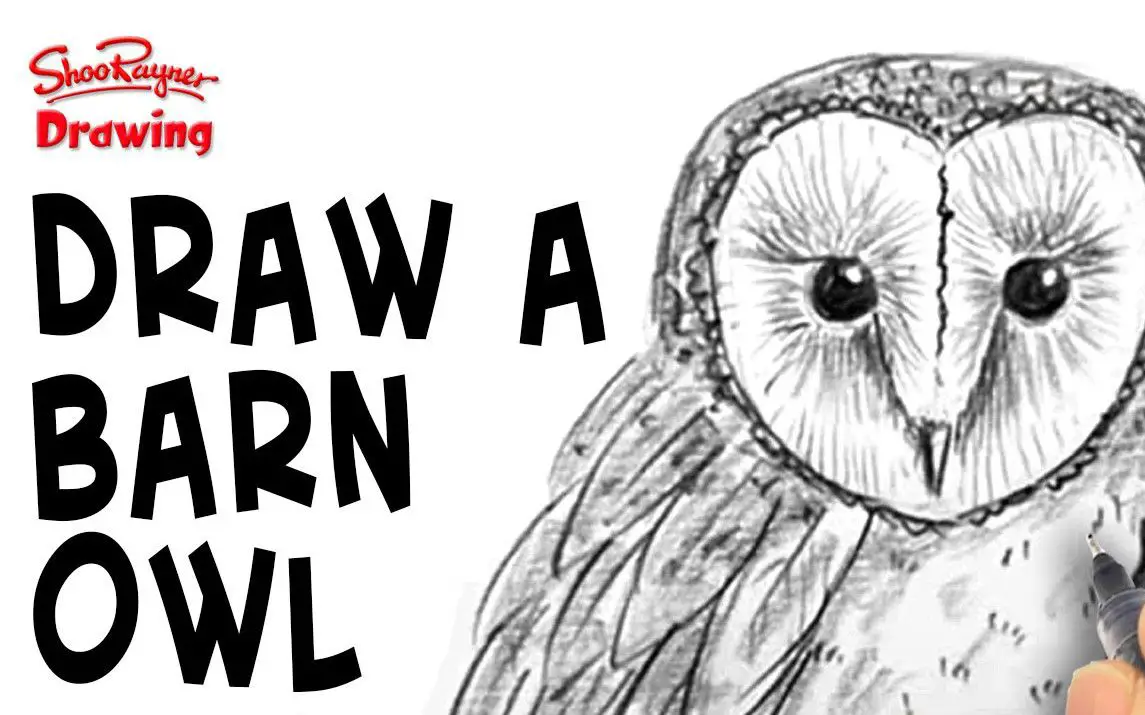 Quick and Easy Owl Drawing Tutorial