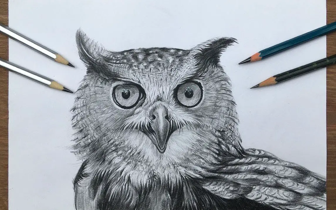 Realistic Owl Portrait