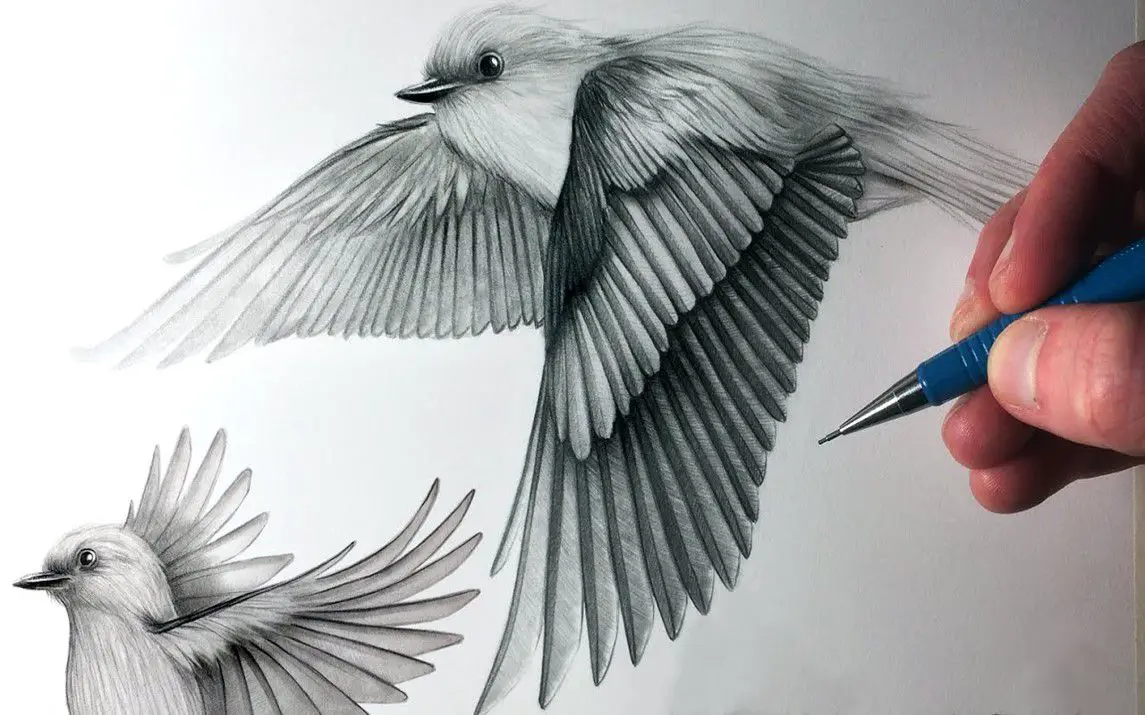Magnificent Drawing of a Bird