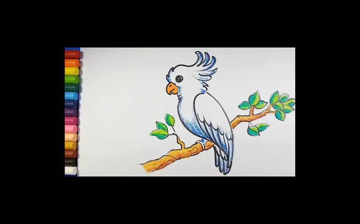 Cute Bird Drawing