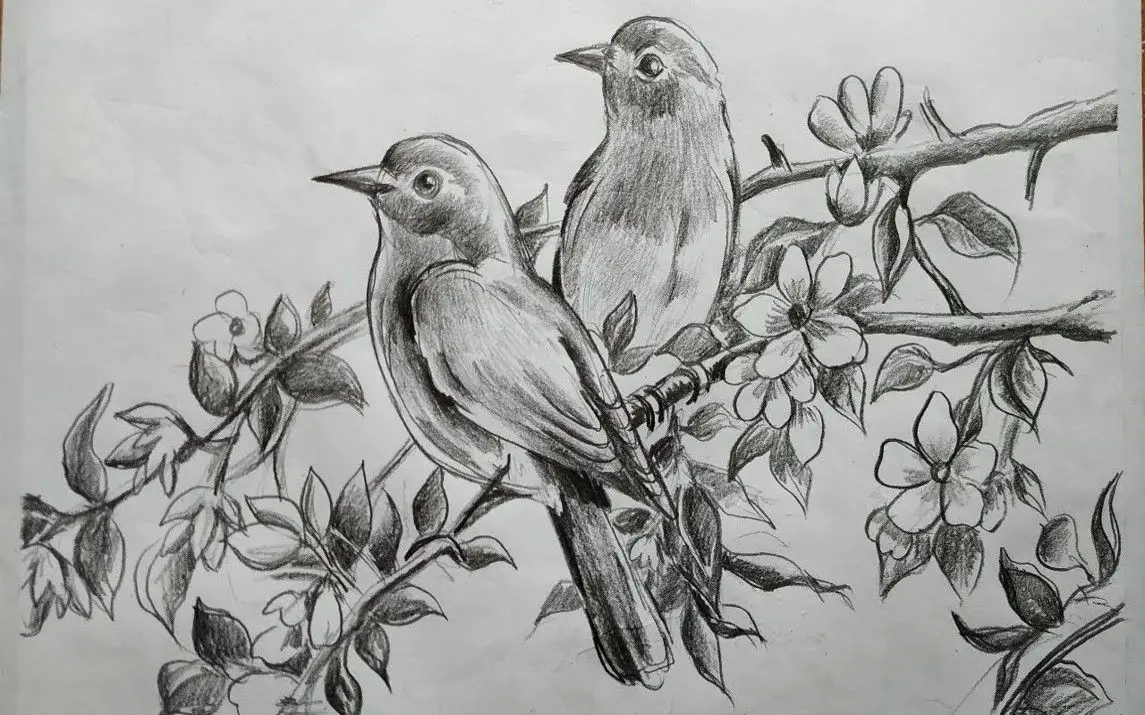 Stepwise Bird Drawing Tutorial