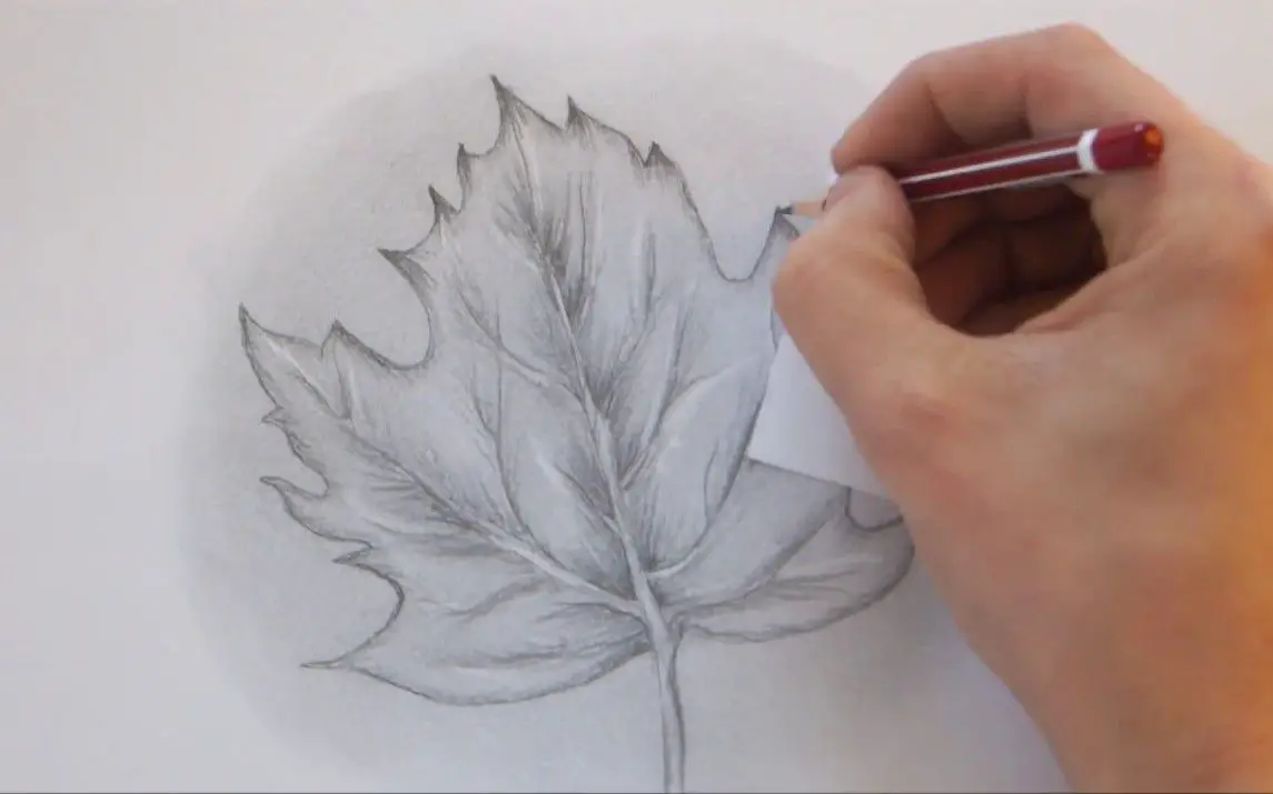 Quick Sketch of a Fall Leaf