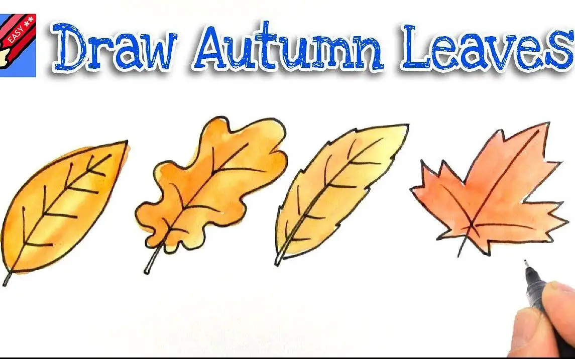 Easiest Way to Draw Fall Leaves