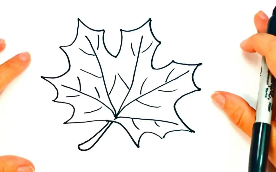 Easy Fall Leaf Drawing Tutorial