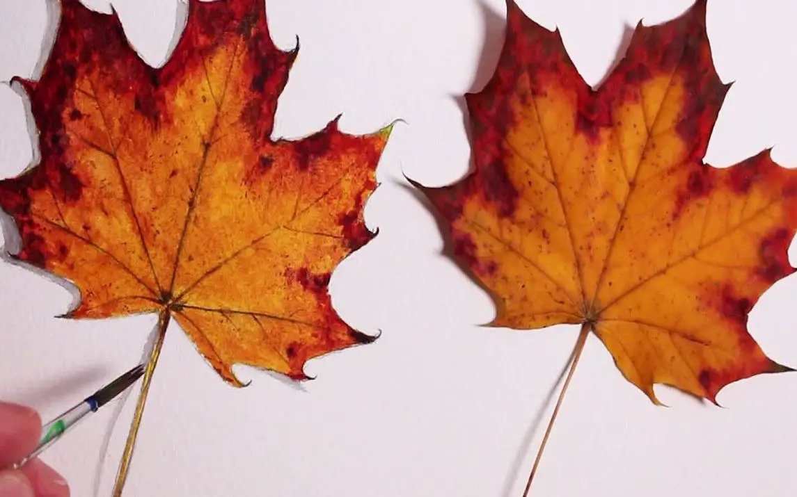 Easy and Beautiful Drawing of an Autumn Leaf