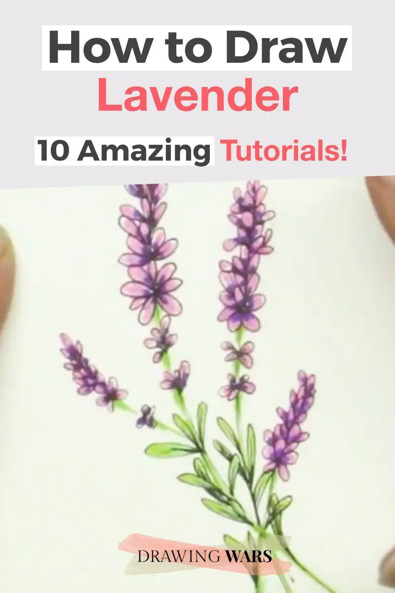 How To Draw Lavender: 10 Amazing and Easy Tutorials! Thumbnail