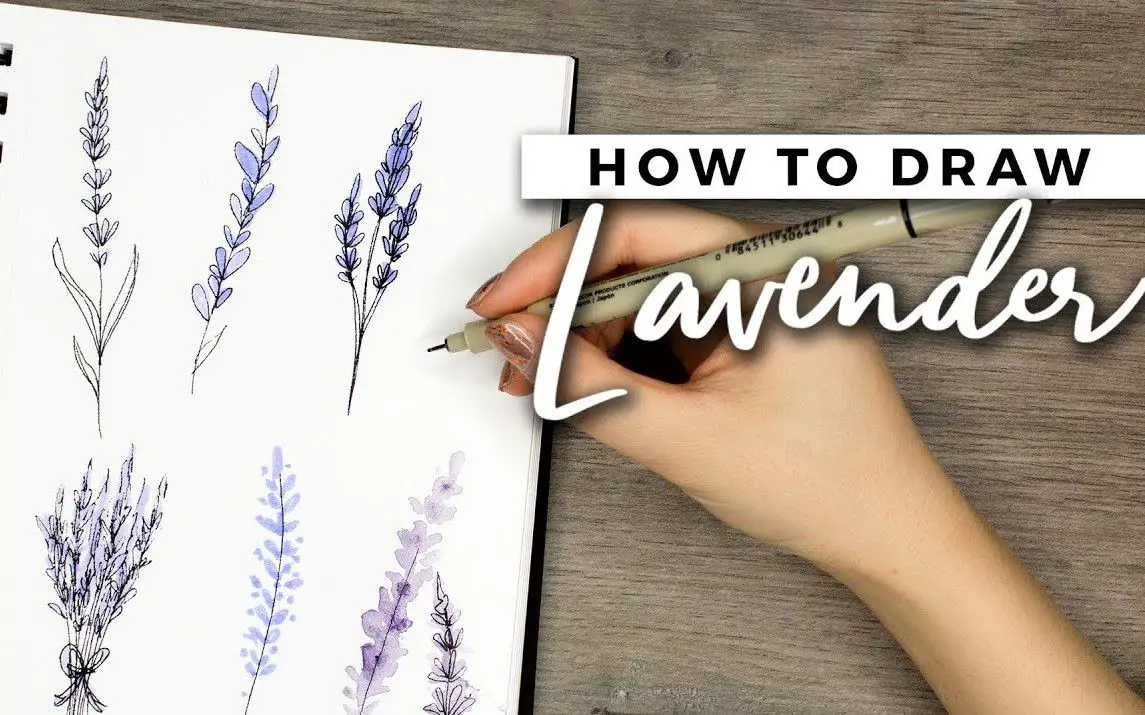 Simple Lavender Drawing Tutorial