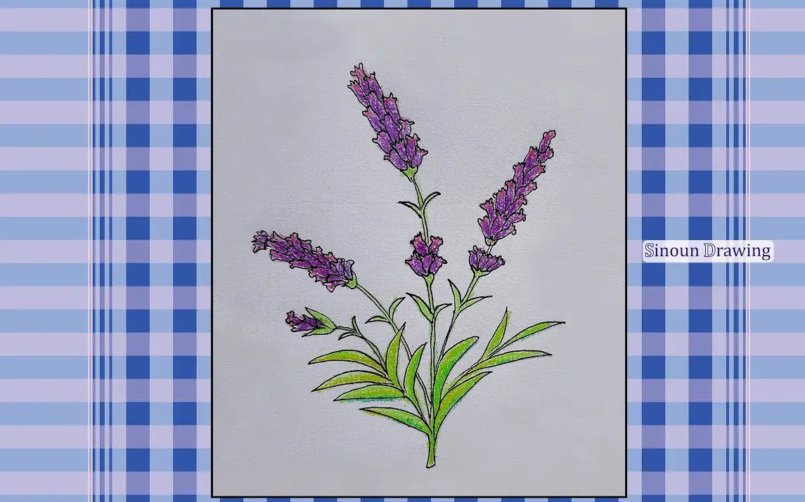 Quick and Easy Lavender Drawing