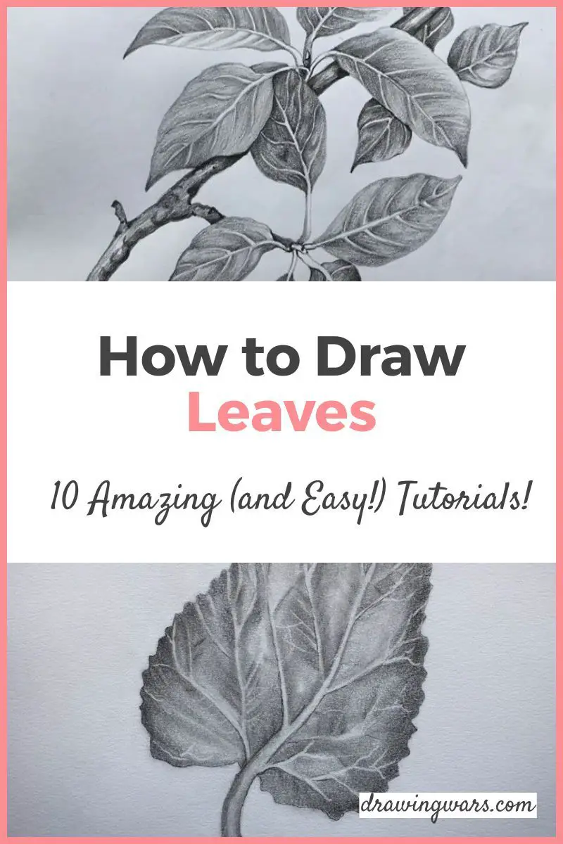How To Draw Leaves: 10 Amazing and Easy Tutorials! Thumbnail