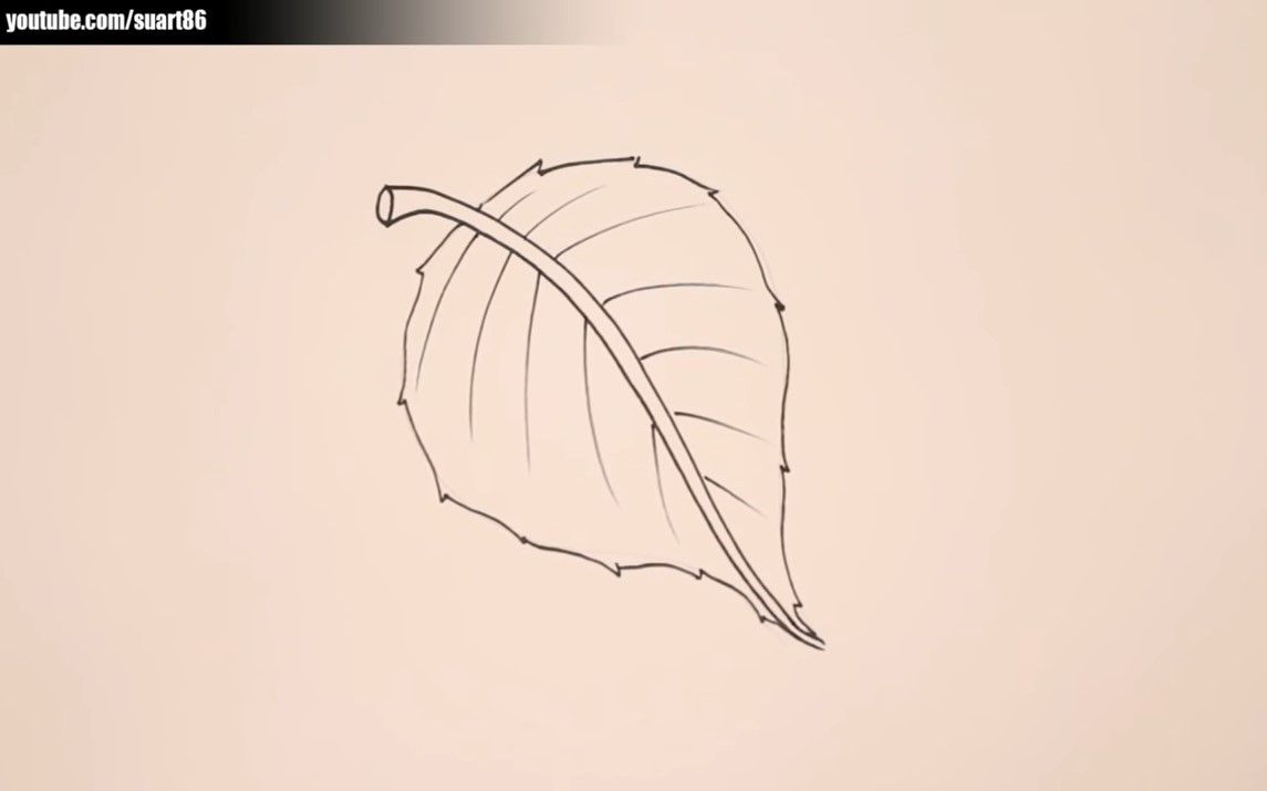 How to Draw Leaves Building Blocks of a Botanical Masterpiece  Skillshare  Blog