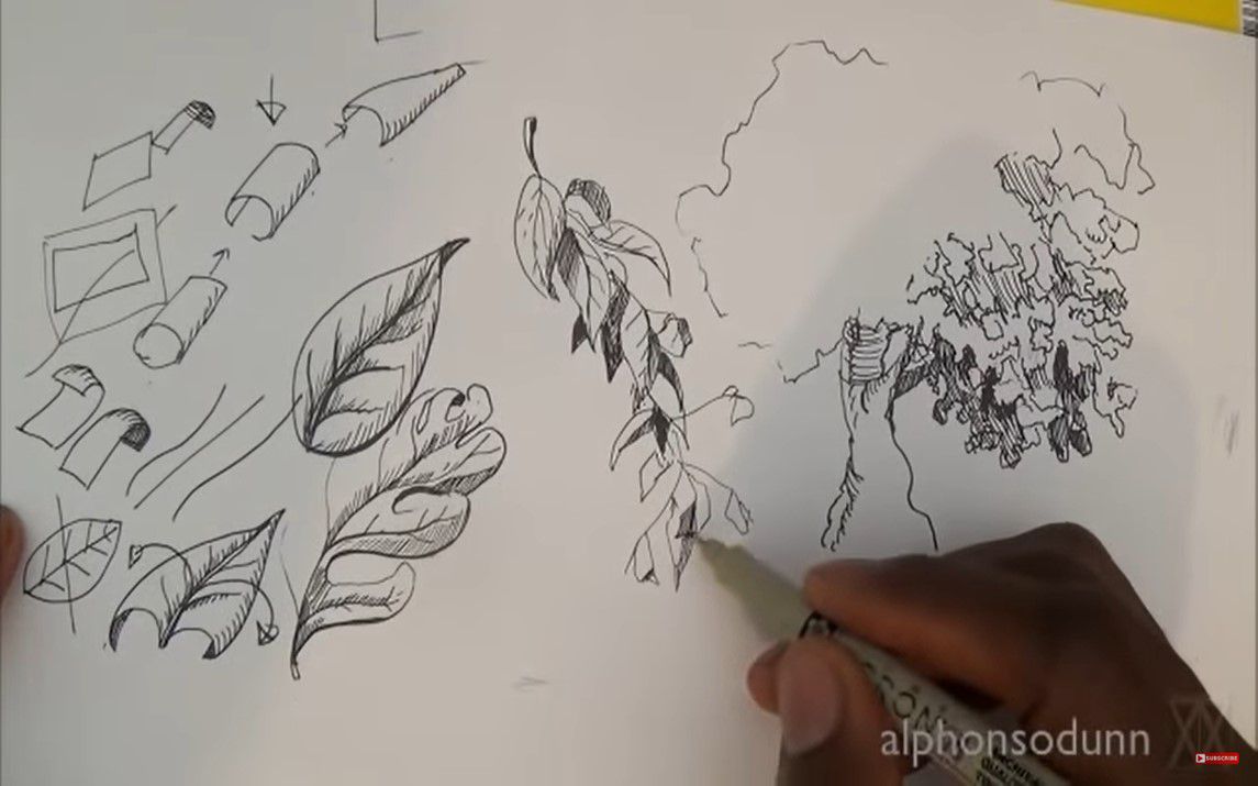 Realistic Leaf Doodling