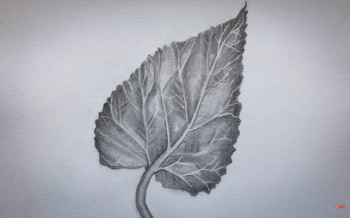 Realistic Leaf Drawing