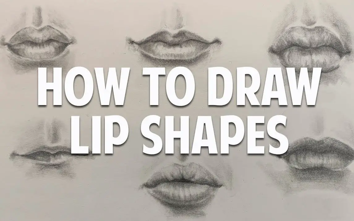 Lips of Different Shapes and Sizes