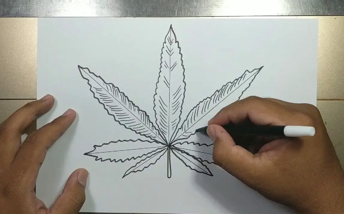 Step by Step Pot Leaf Drawing Tutorial