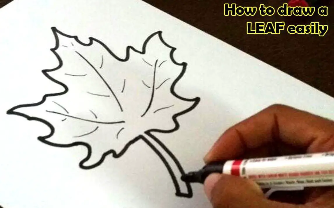 Simple Pumpkin Leaf Drawing