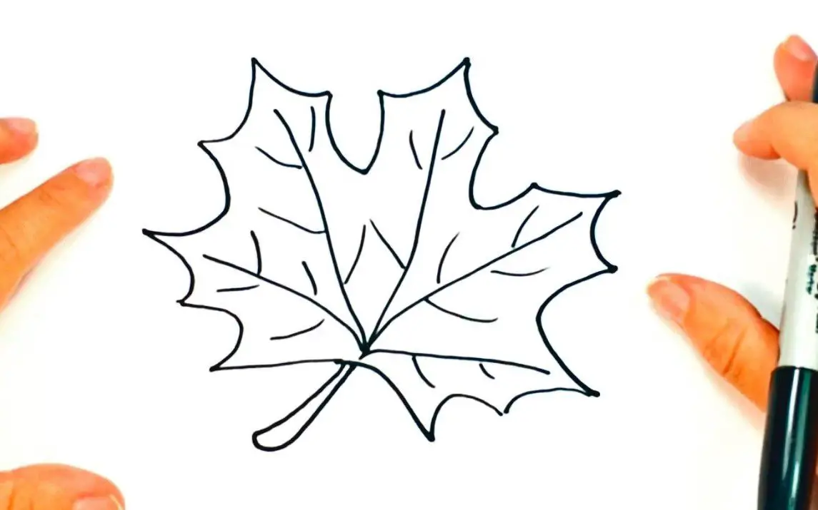 Pumpkin Leaf Drawing