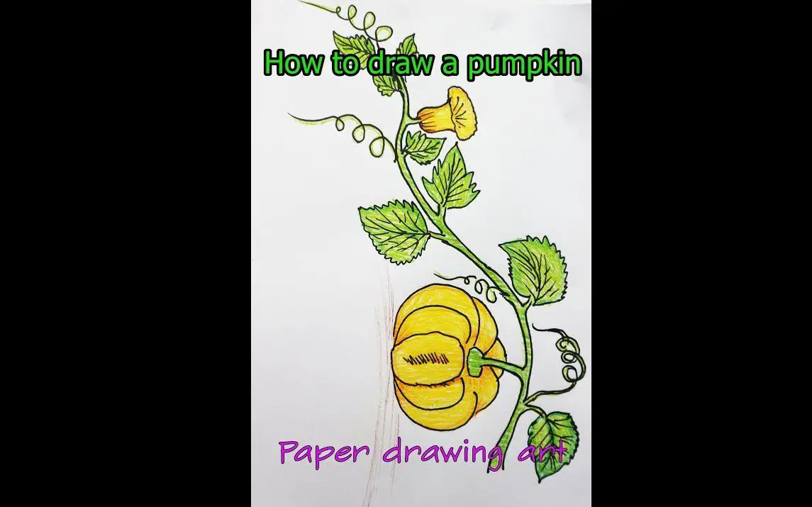 Basic Approach for Drawing Pumpkin Leaves