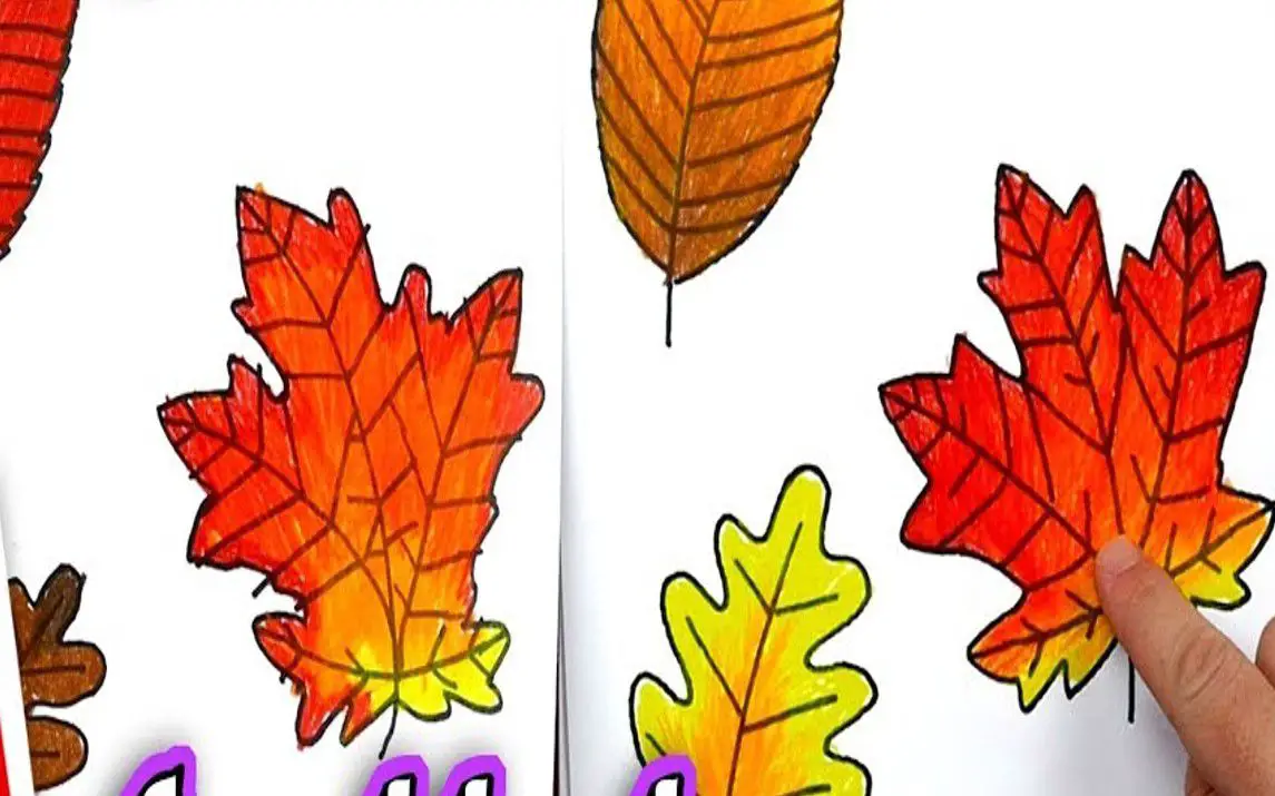 Pumpkin Leaf Drawing for Kids