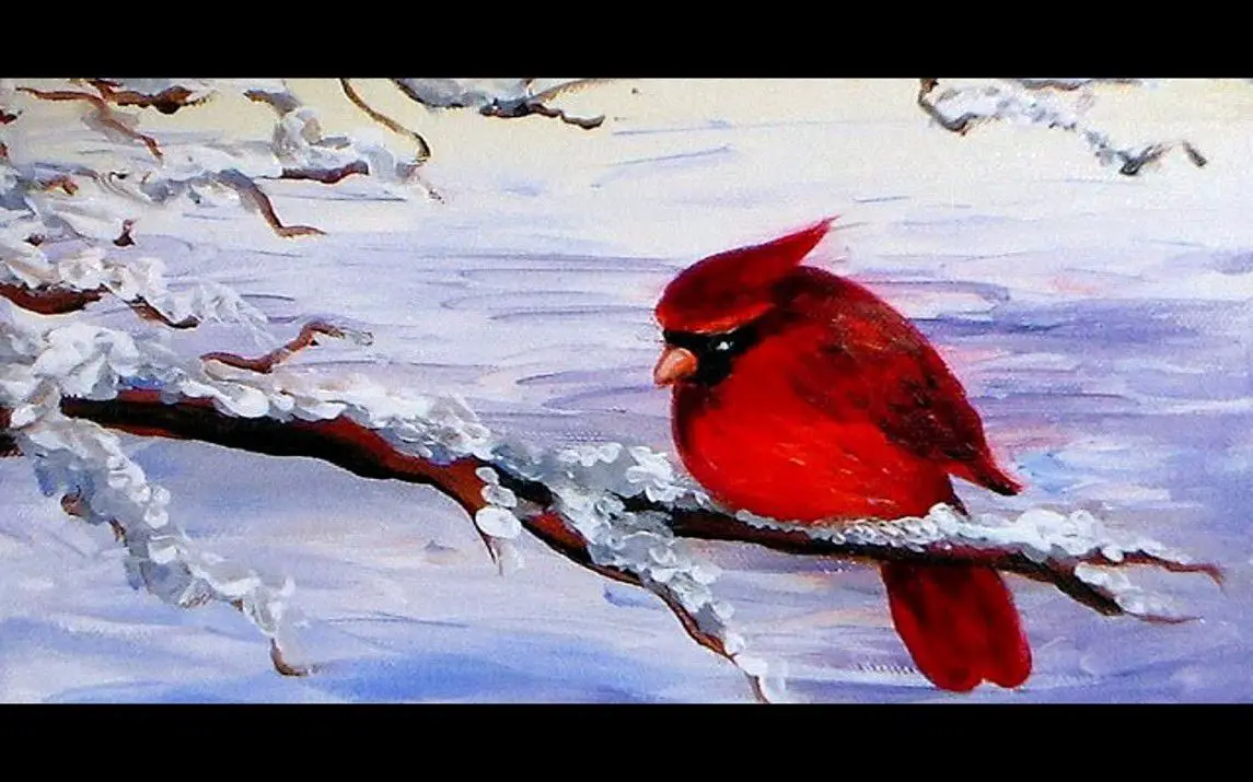 Beautiful Cardinal in the Snow