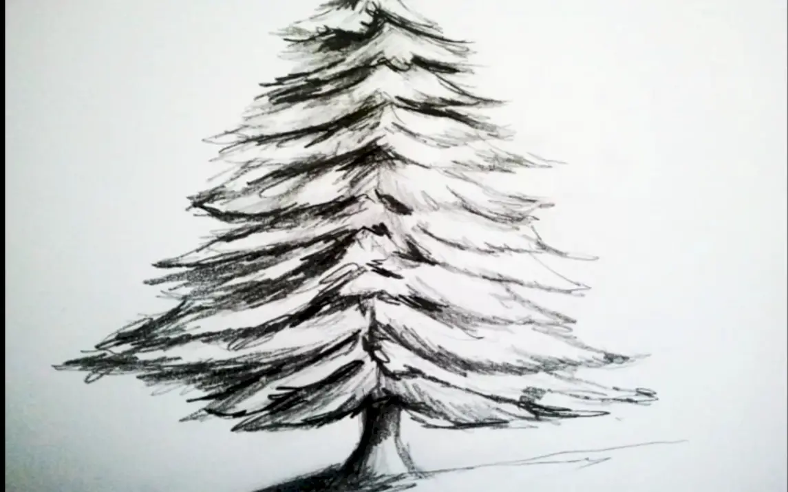 Draw an Attractive and Realistic Christmas Tree