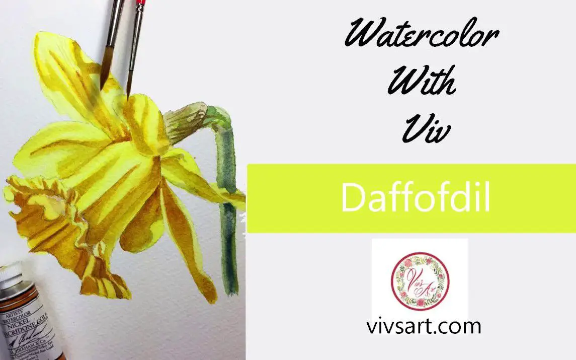 Realistic Daffodil Painting in Watercolor
