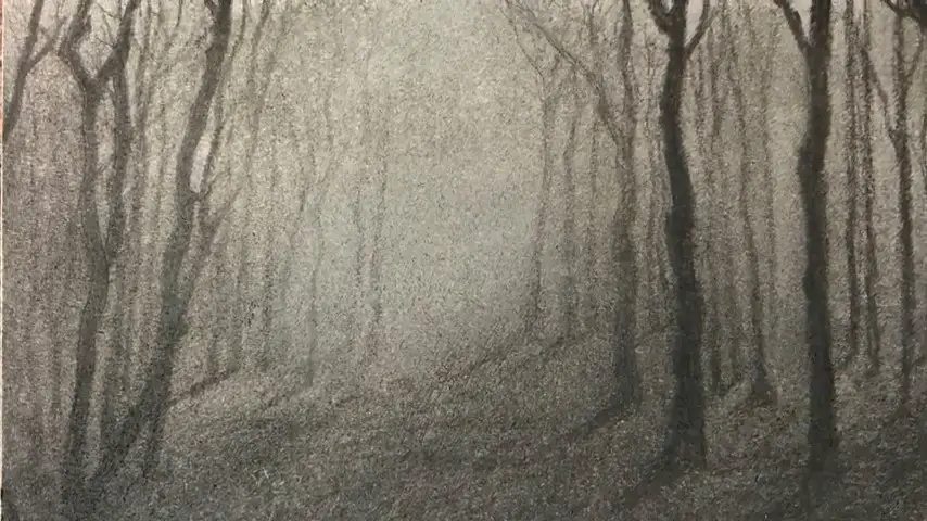 Quick And Easiest Charcoal Drawing Of A Foggy Forest