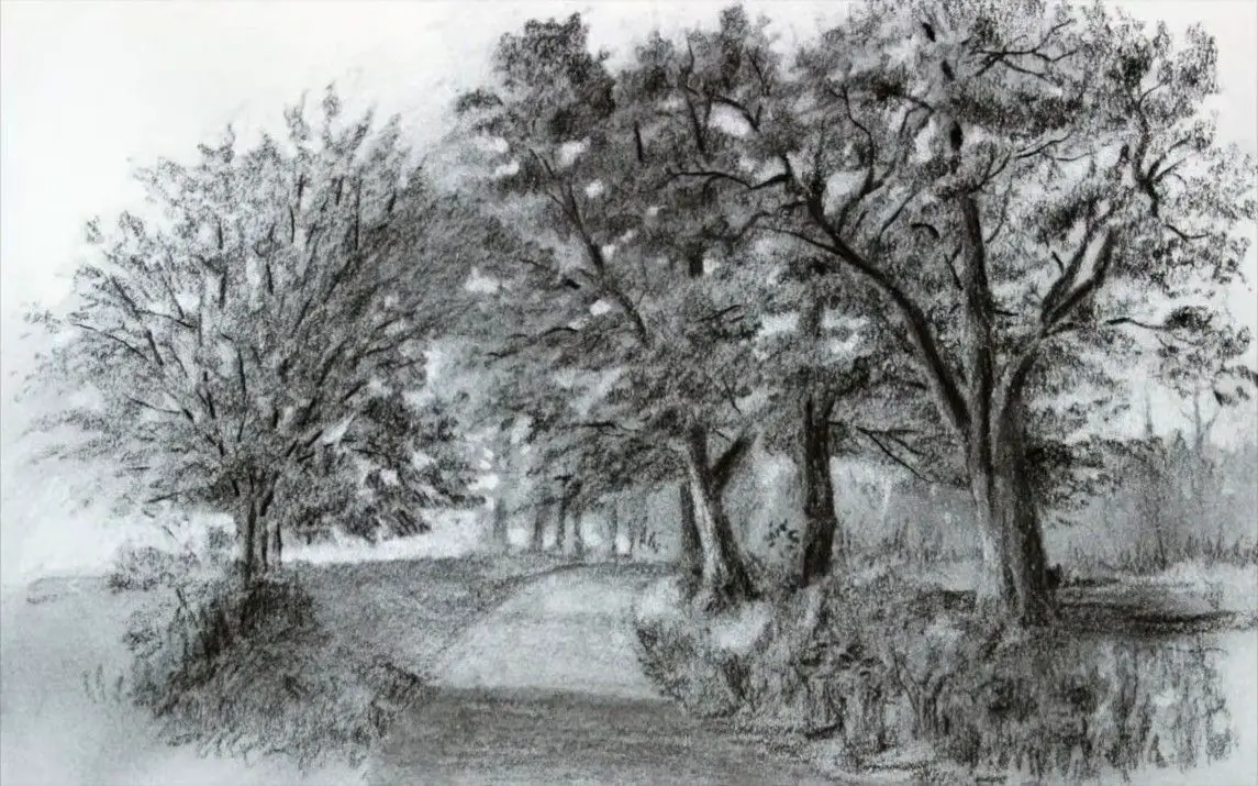 Realistic Forest Landscape Sketching