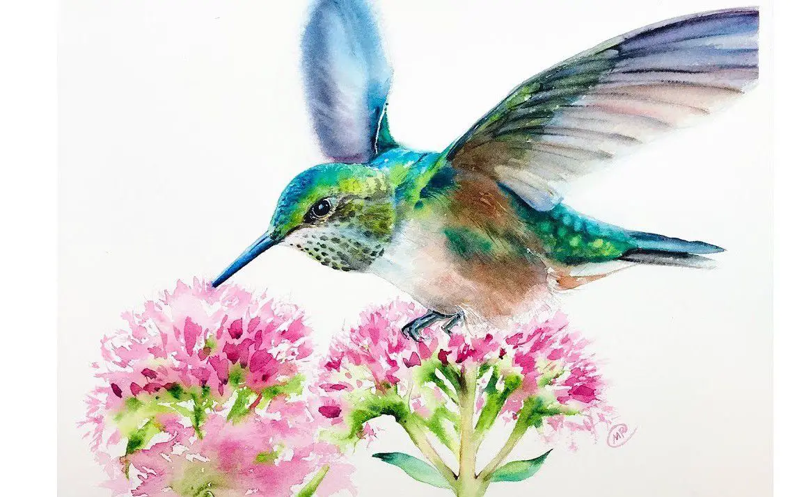 Realistic Approach to Painting Hummingbirds