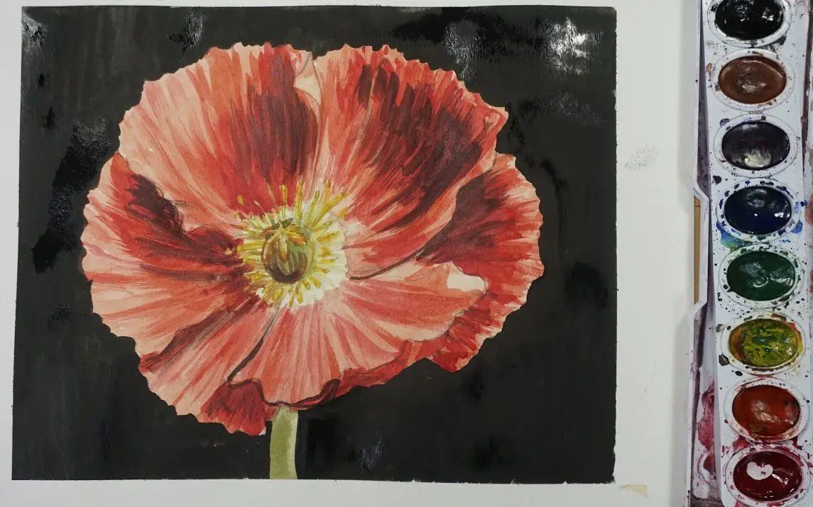 Striking Watercolor Painting of a Poppy Flower