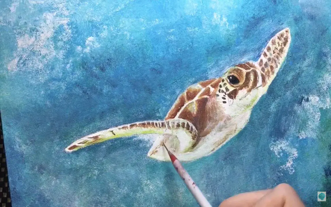 Cute Close-up of a Sea Turtle