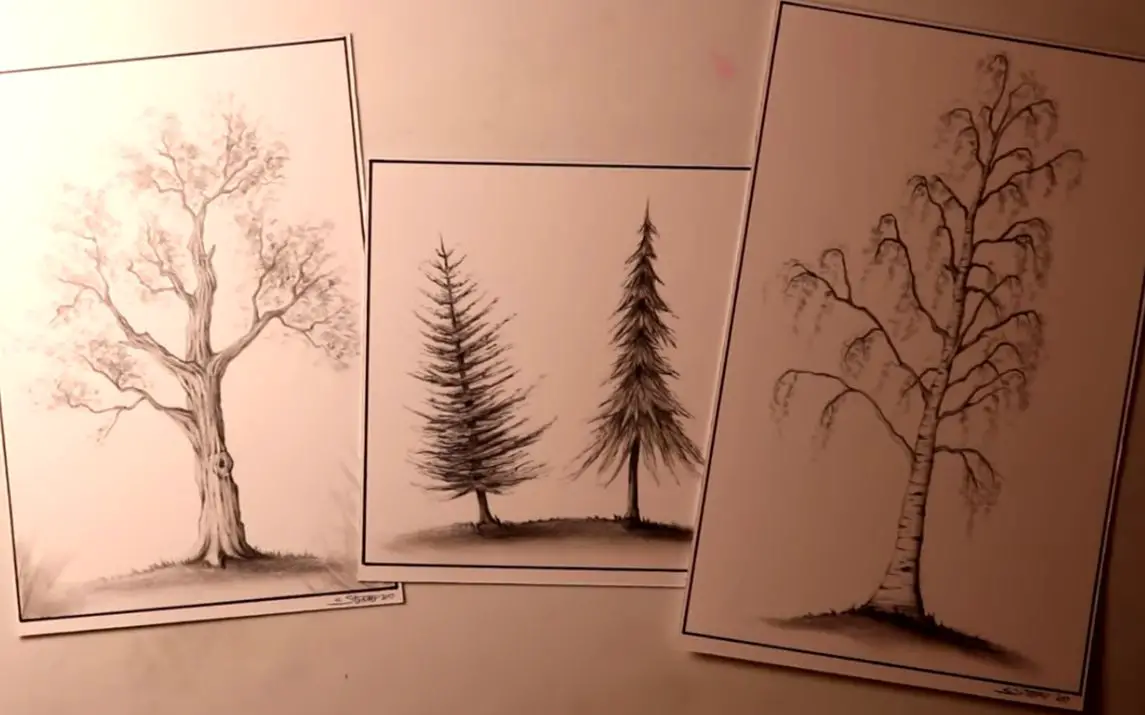 Basic Guide For Drawing A Perfect Tree Without Leaves