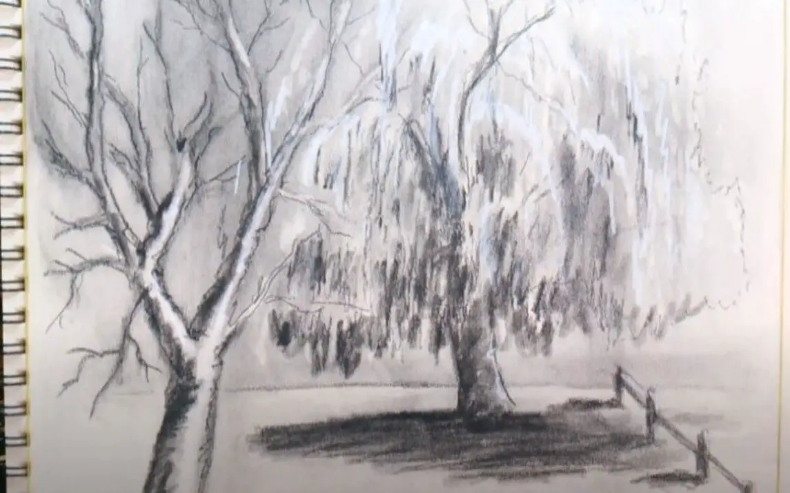 Beautiful Charcoal Tree Painting Tutorial