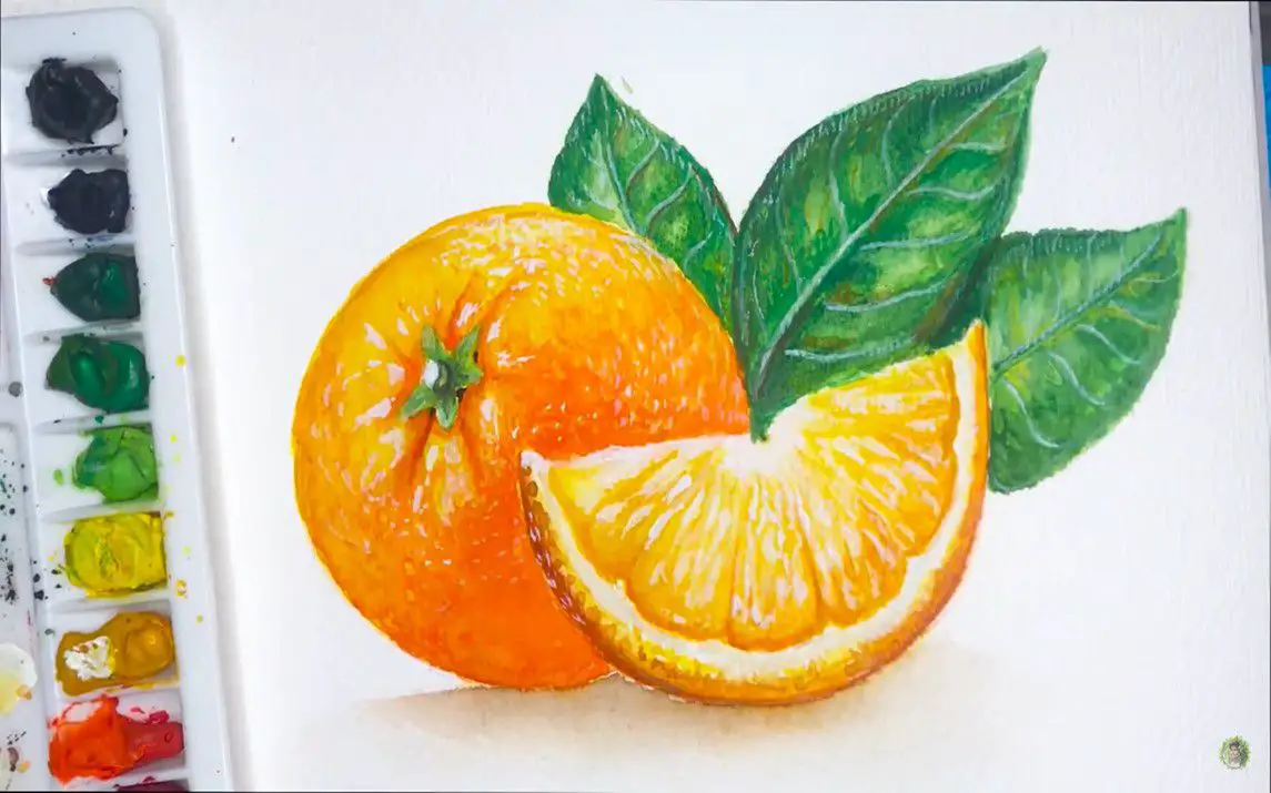 Gorgeous Watercolor Painting of Orange