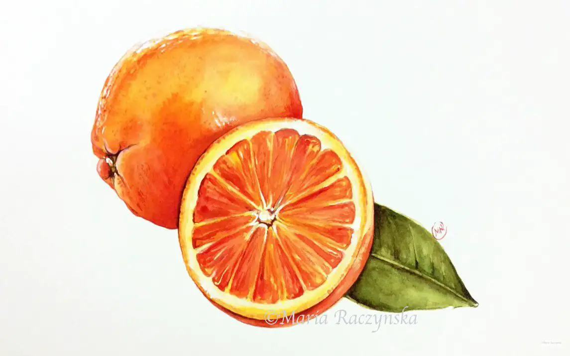 Simple Watercolor Painting of Oranges