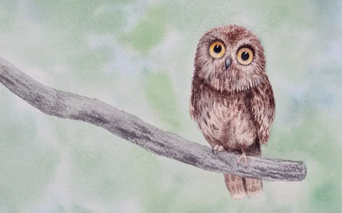 Cute Owl Painting Tutorial