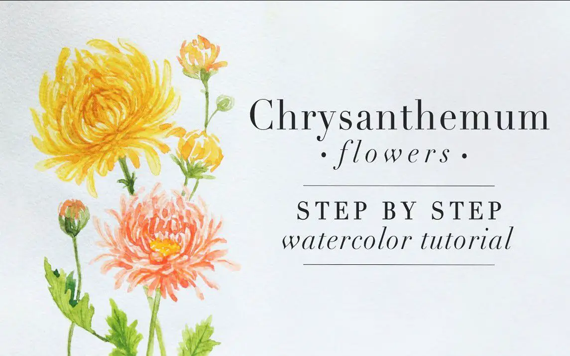 Simple Chrysanthemum Painting in Watercolor