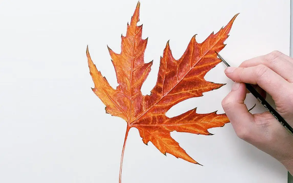 Realistic Painting of a Fall Leaf