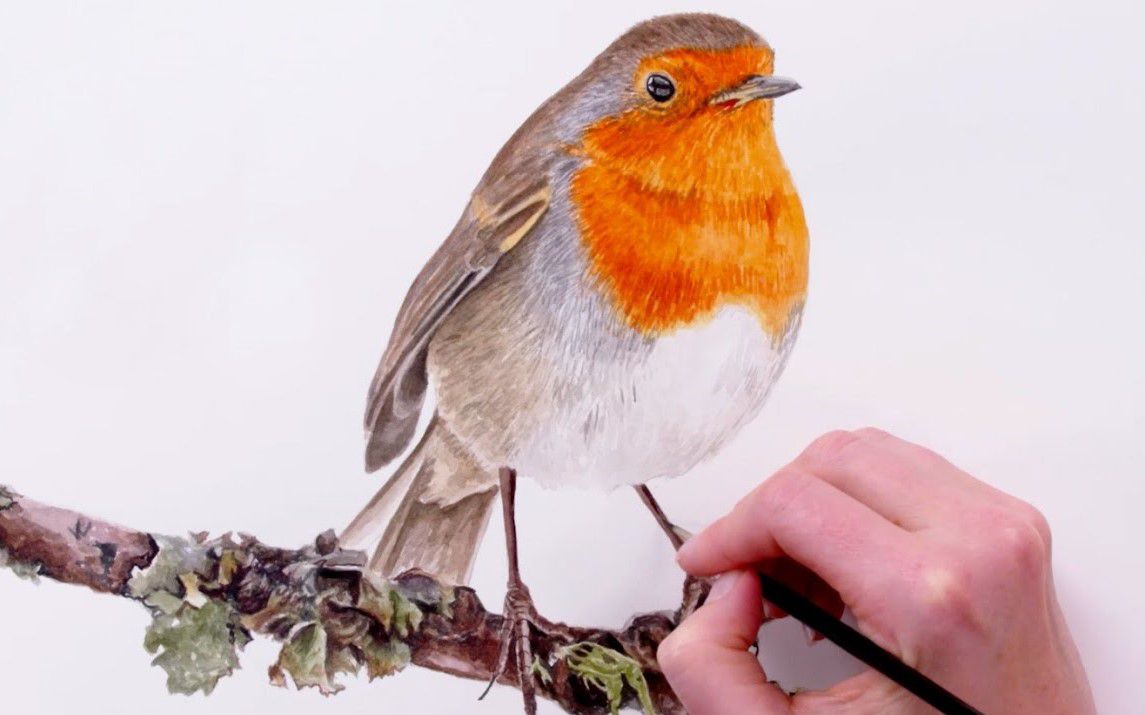 Painting Feathers on a Robin