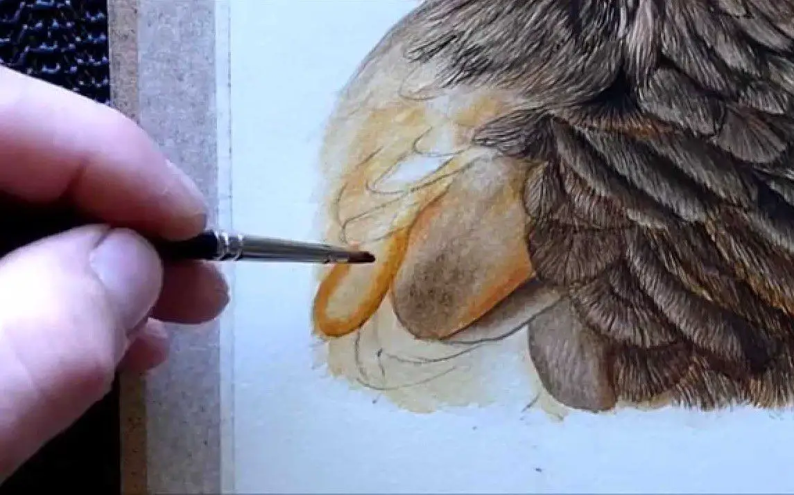 Detailed Feather Painting with Watercolors