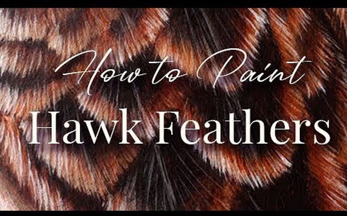 How to Paint Hawk Feathers
