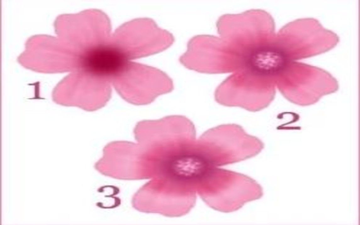 Easiest Digital Flower Painting