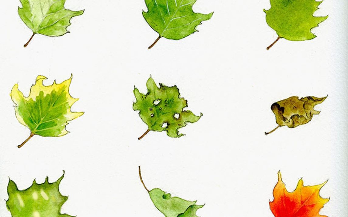 How to paint leaves 9 different ways by Morgie Moore.