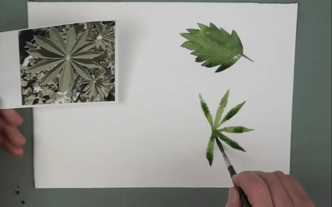 How to Paint Leaves in Watercolour.
