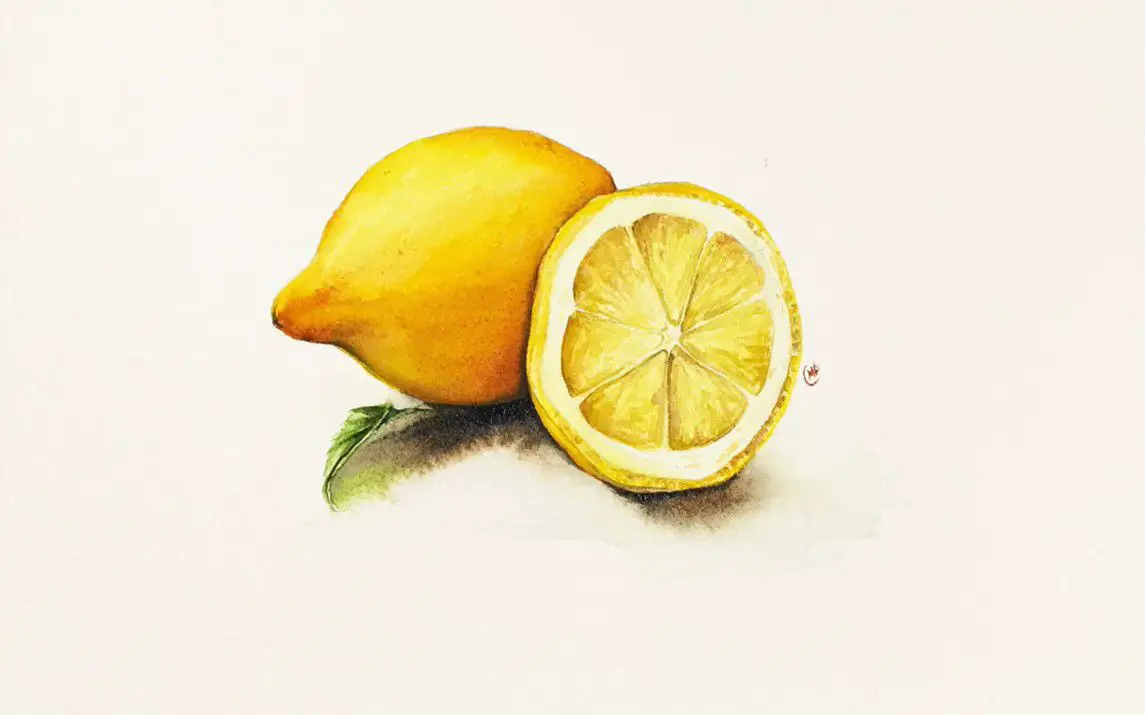 Lifelike Lemon Painting