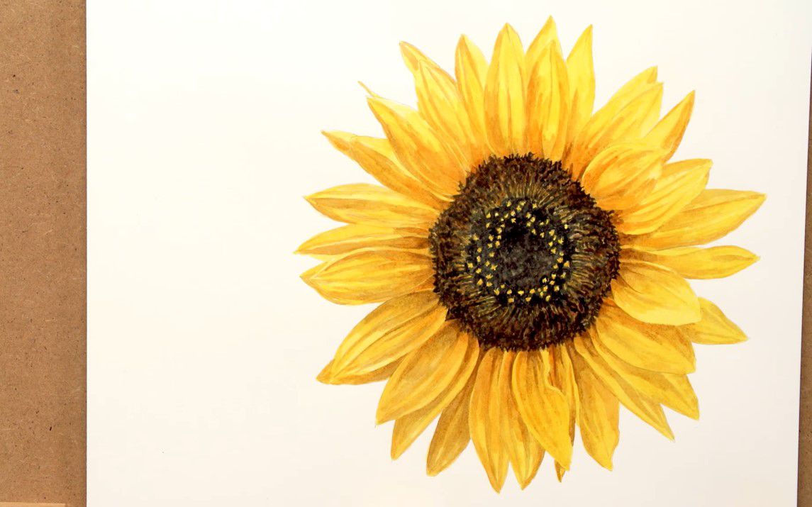 Realistic Watercolor painting of a Sunflower