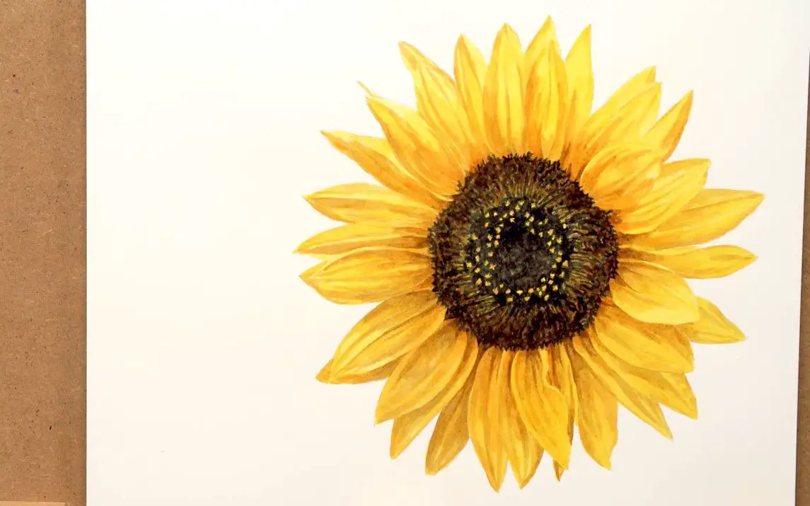 Realistic Watercolor painting of a Sunflower